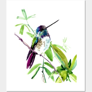 Hummingbird on Tree Posters and Art